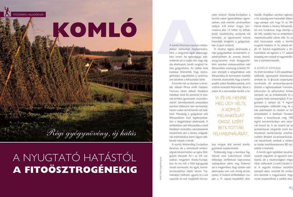Az egészségügyi szakemberek azt is tudják róla, hogy régóta alkalmazott, bevált nyugtató hatású gyógynövény.