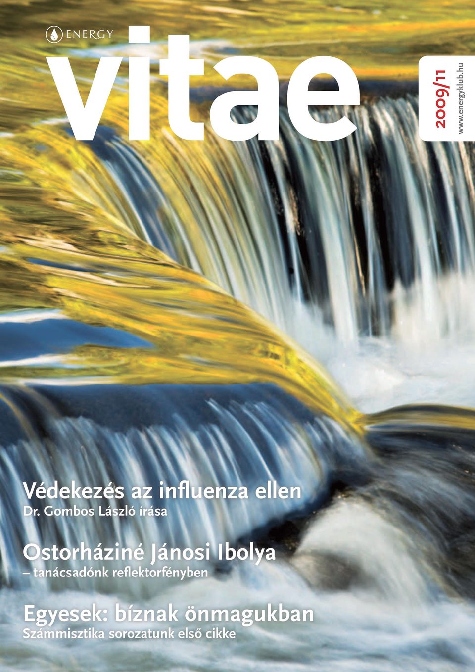 Gombos László írása Ostorháziné Jánosi Ibolya