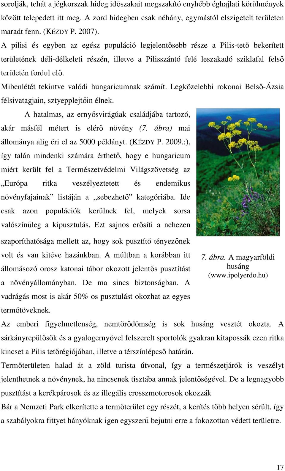 Mibenlétét tekintve valódi hungaricumnak számít. Legközelebbi rokonai Belső-Ázsia félsivatagjain, sztyepplejtőin élnek.