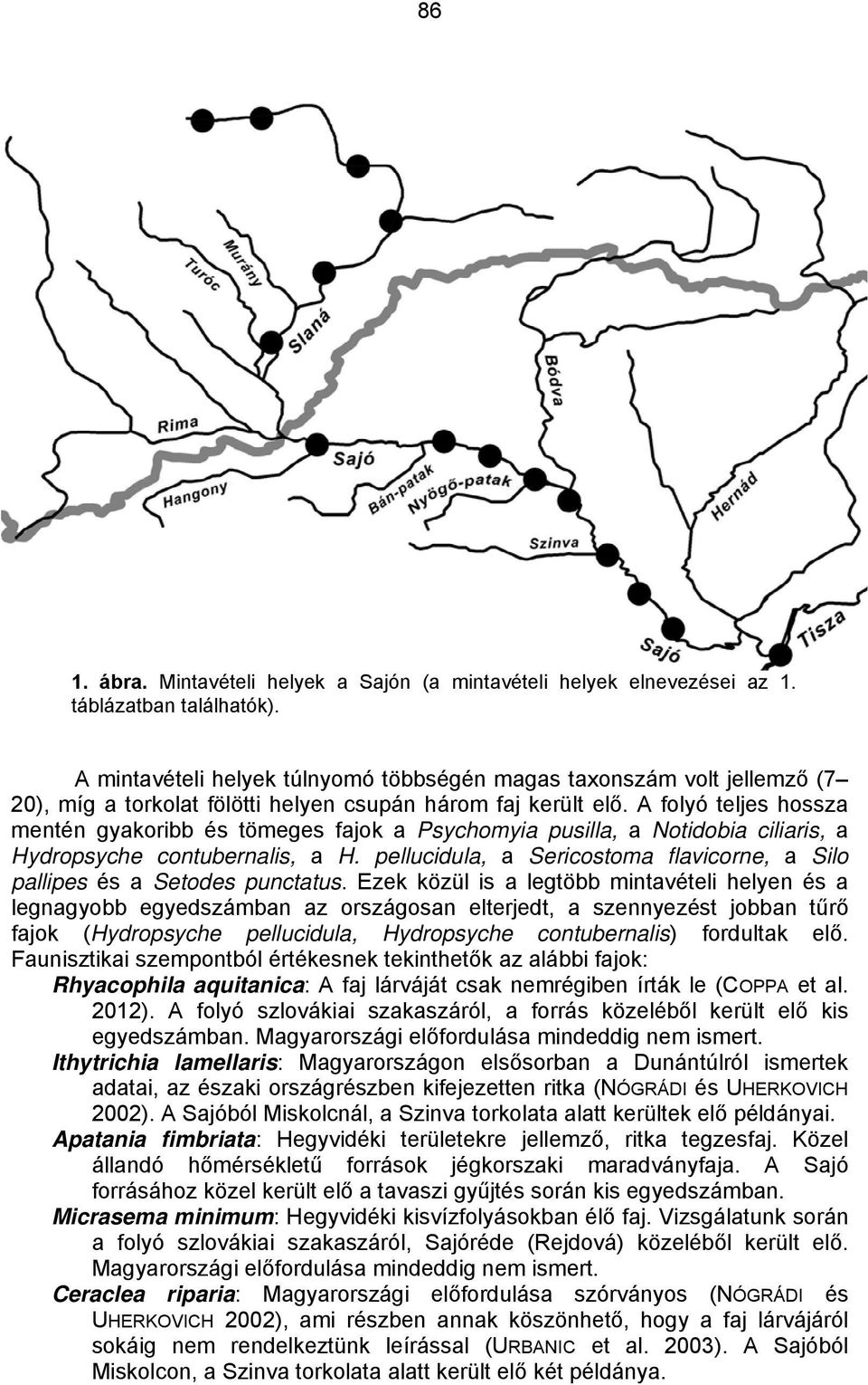 A folyó teljes hossza mentén gyakoribb és tömeges fajok a Psychomyia pusilla, a Notidobia ciliaris, a Hydropsyche contubernalis, a H.