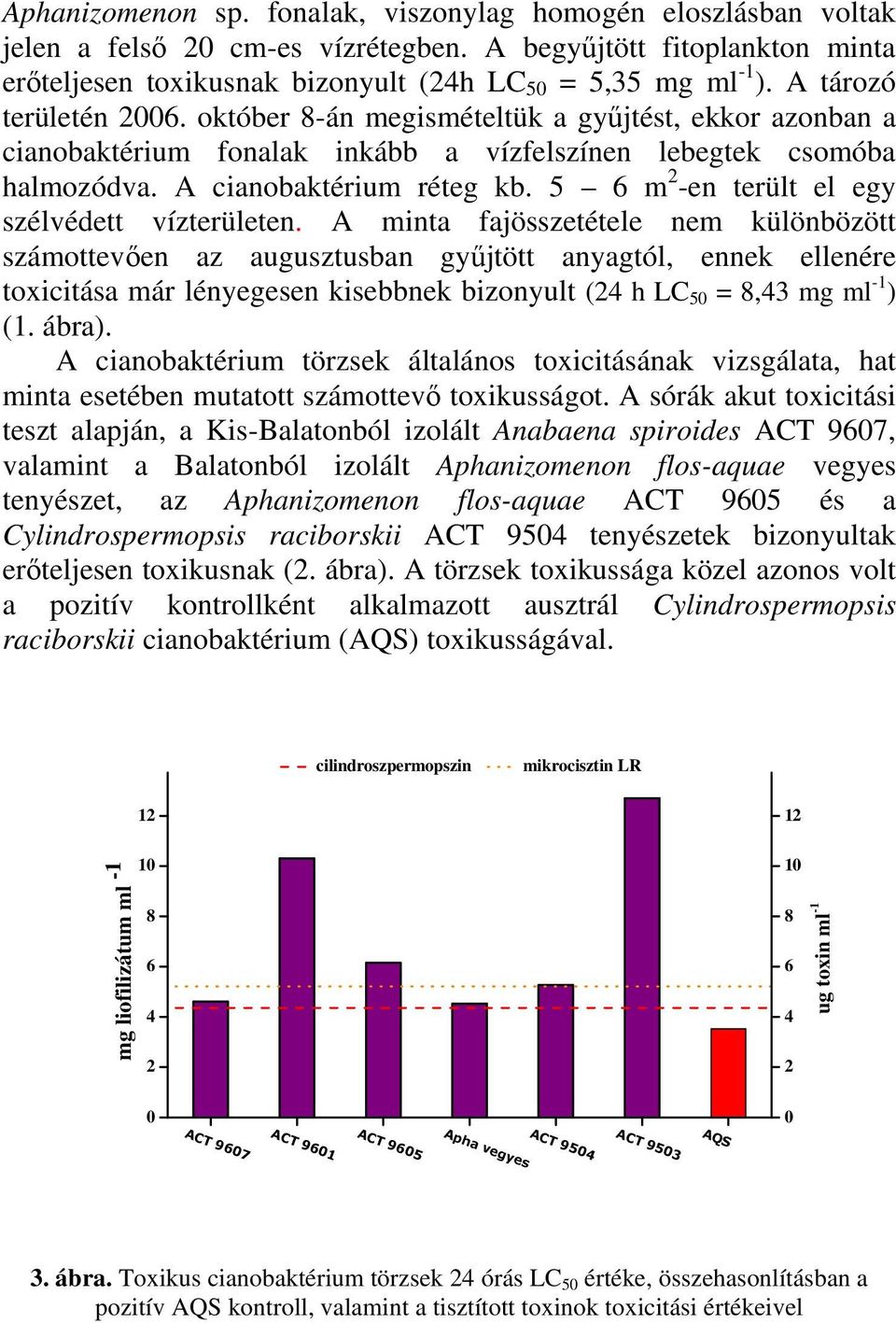 október 8-án megismételtük a gyűjtést, ekkor azonban a cianobaktérium fonalak inkább a vízfelszínen lebegtek csomóba halmozódva. A cianobaktérium réteg kb.