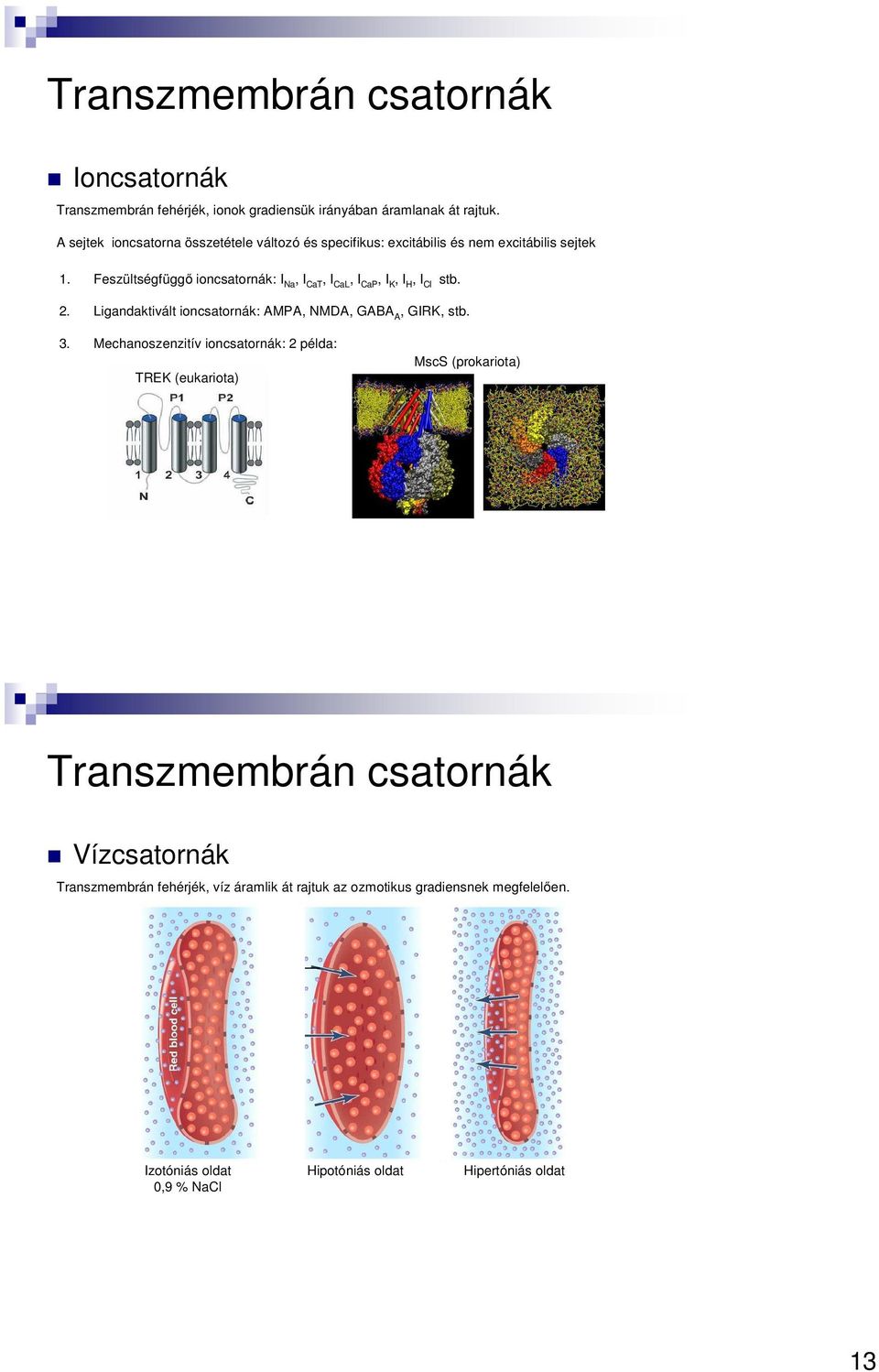 Feszültségfüggő ioncsatornák: I Na, I CaT, I CaL, I CaP, I K, I H, I Cl stb. 2. Ligandaktivált ioncsatornák: AMPA, NMDA, GABA A, GIRK, stb. 3.