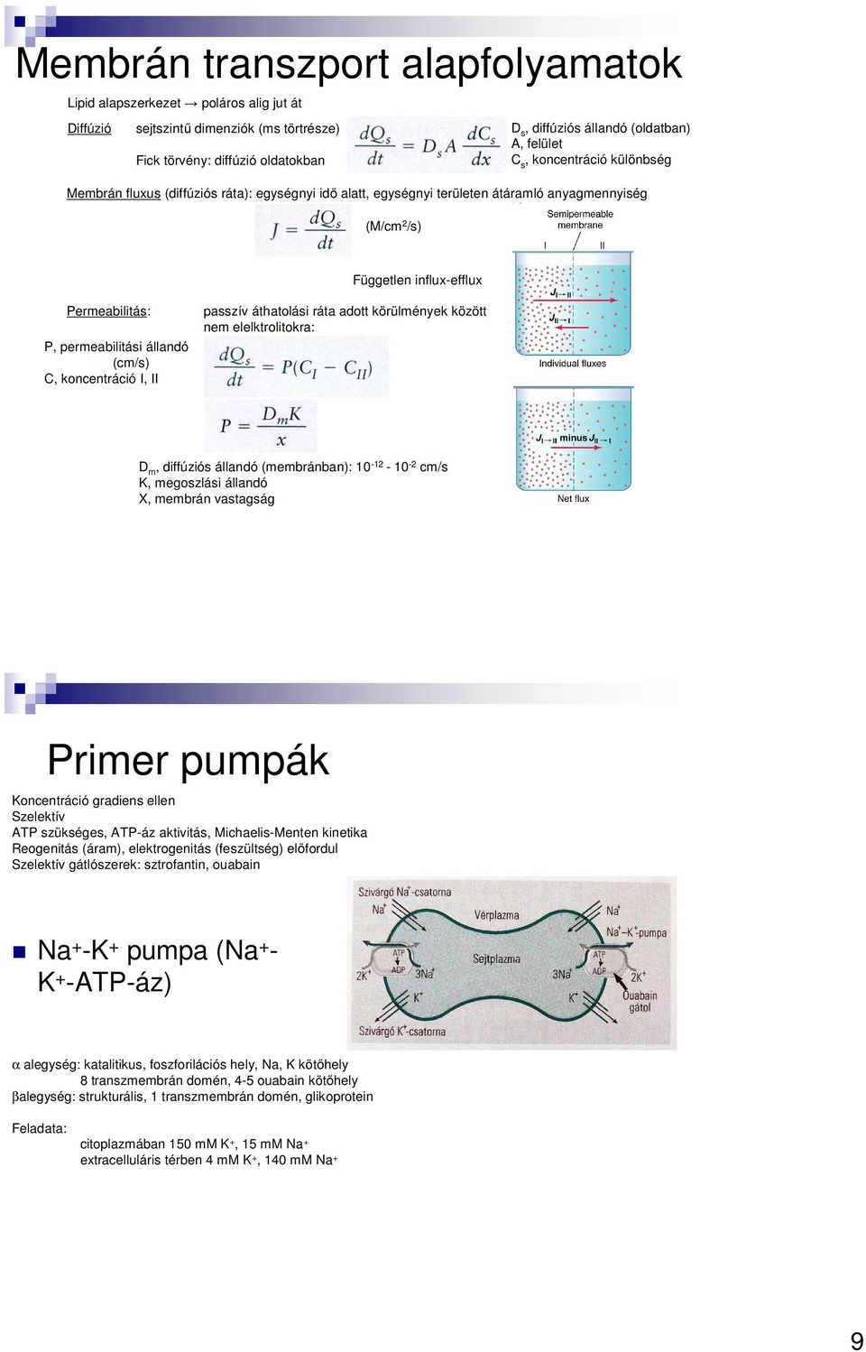 állandó (cm/s) C, koncentráció I, II passzív áthatolási ráta adott körülmények között nem elelktrolitokra: D m, diffúziós állandó (membránban): 10-12 - 10-2 cm/s K, megoszlási állandó X, membrán