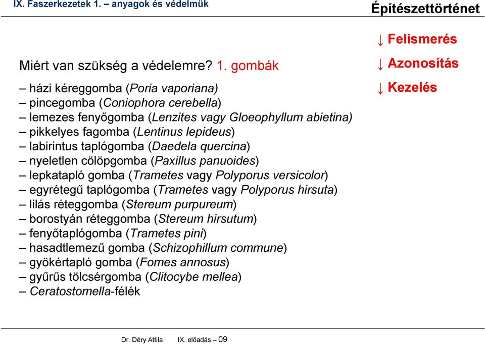 labirintus taplógomba (Daedela quercina) nyeletlen cölöpgomba (Paxillus panuoides) lepkatapló gomba (Trametes vagy Polyporus versicolor) egyrétegű taplógomba (Trametes vagy