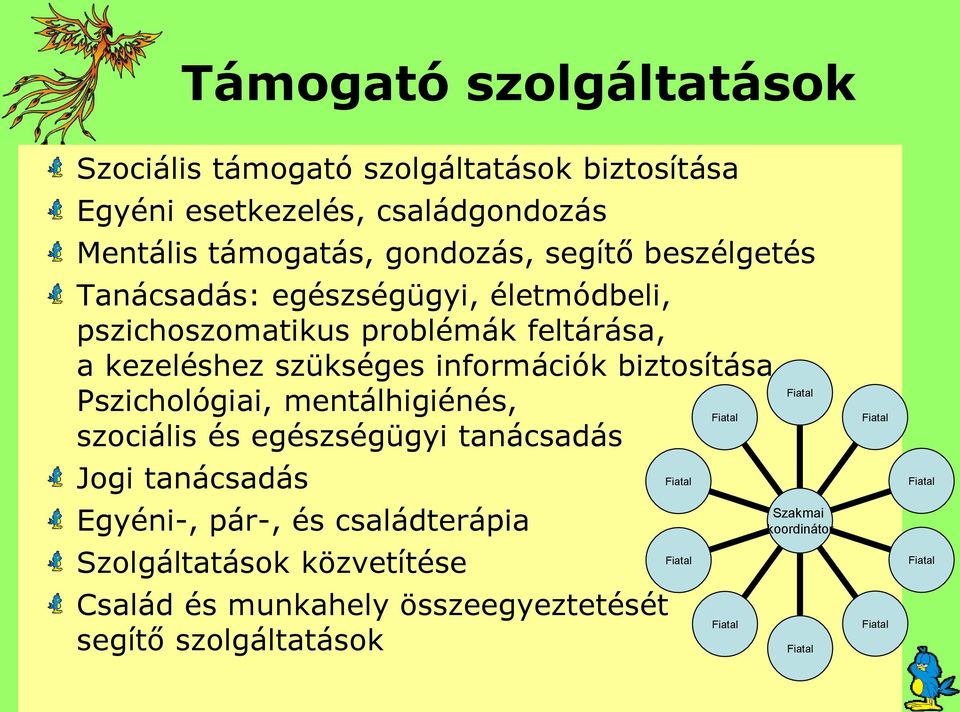 szükséges információk biztosítása.