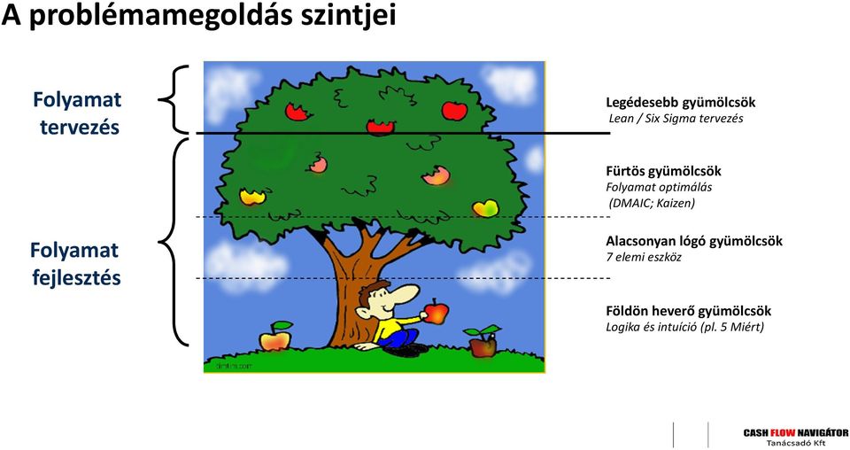 optimálás (DMAIC; Kaizen) Folyamat fejlesztés Alacsonyan lógó