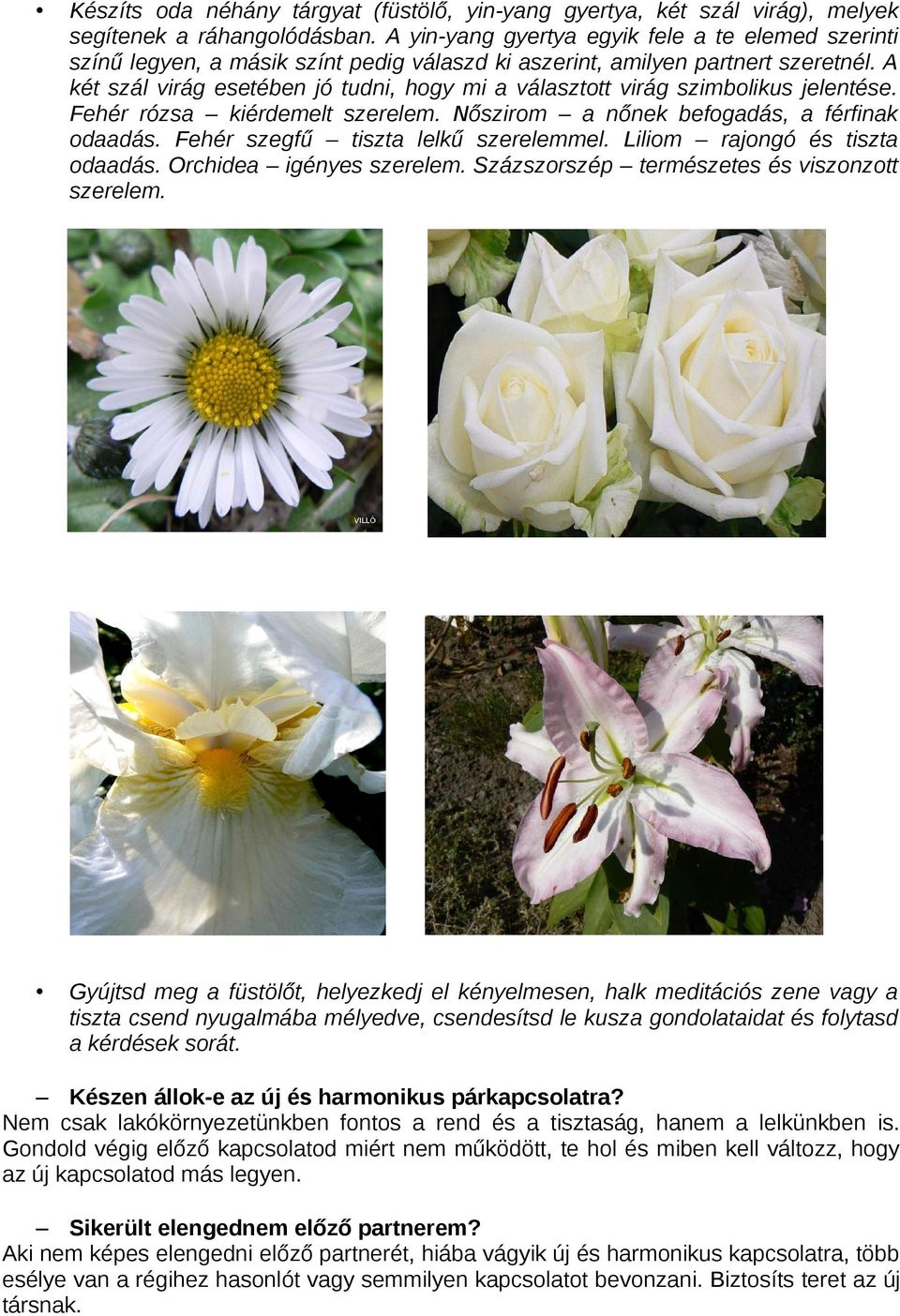 A két szál virág esetében jó tudni, hogy mi a választott virág szimbolikus jelentése. Fehér rózsa kiérdemelt szerelem. Nőszirom a nőnek befogadás, a férfinak odaadás.