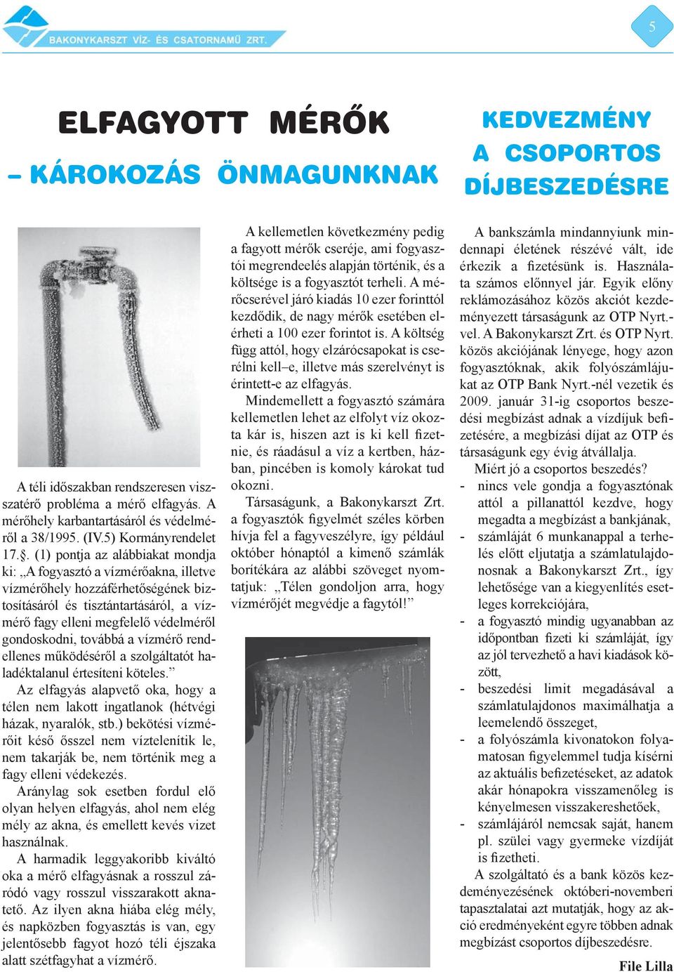 . (1) pontja az alábbiakat mondja ki: A fogyasztó a vízmérőakna, illetve vízmérőhely hozzáférhetőségének biztosításáról és tisztántartásáról, a vízmérő fagy elleni megfelelő védelméről gondoskodni,