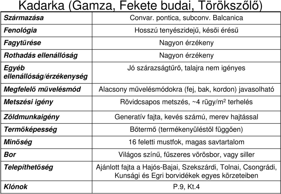 bak, kordon) javasolható Rövidcsapos metszés, ~4 rügy/m 2 terhelés Generatív fajta, kevés számú, merev hajtással Bőtermő (termékenyüléstől