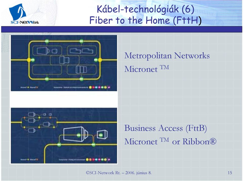 Business Access (FttB) Micronet TM or