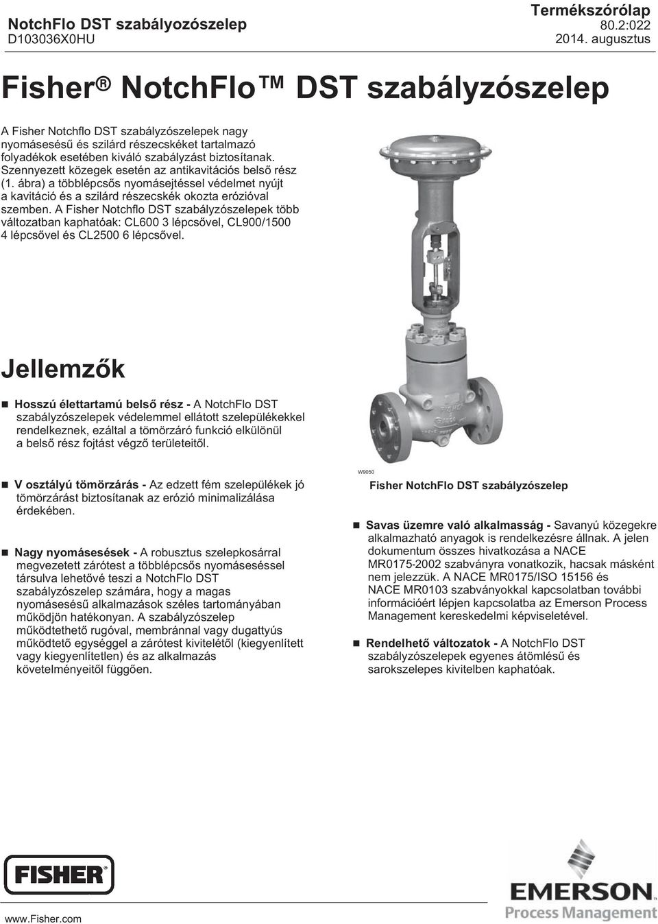 A Fisher Notchflo DST szabályzószelepek több változatban kaphatóak: CL600 3 lépcsővel, CL900/1500 4 lépcsővel és CL2500 6 lépcsővel.