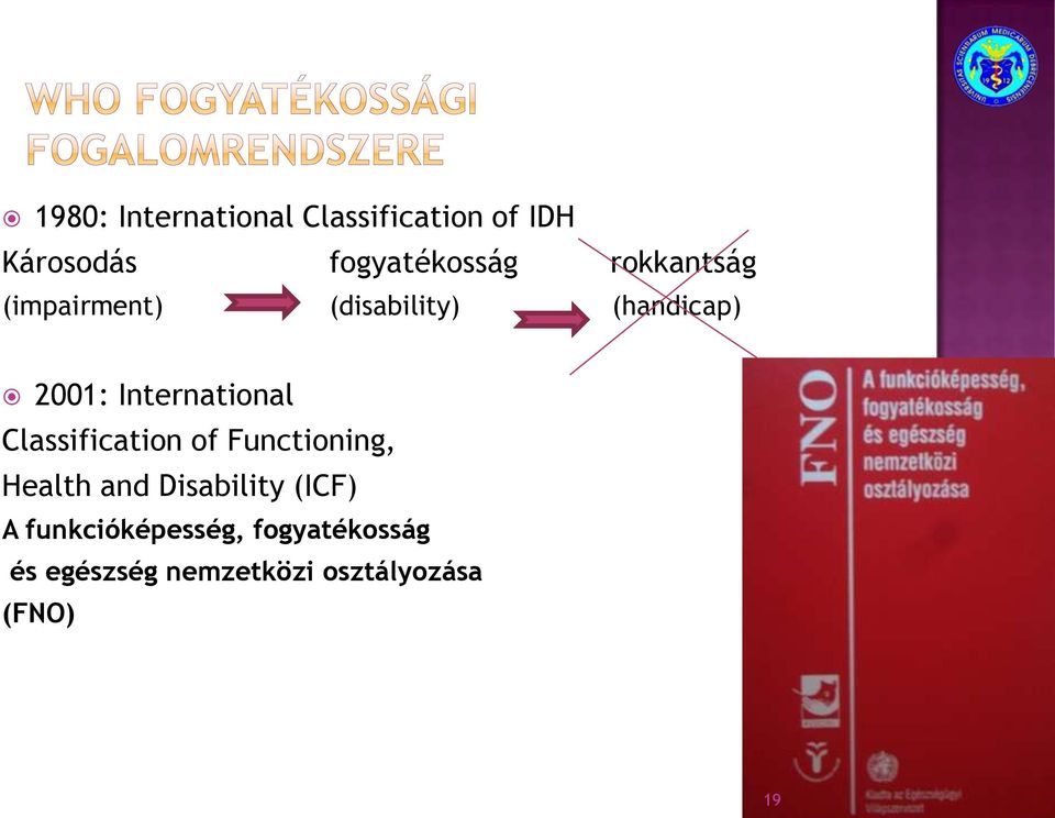 Classification of Functioning, Health and Disability (ICF) A