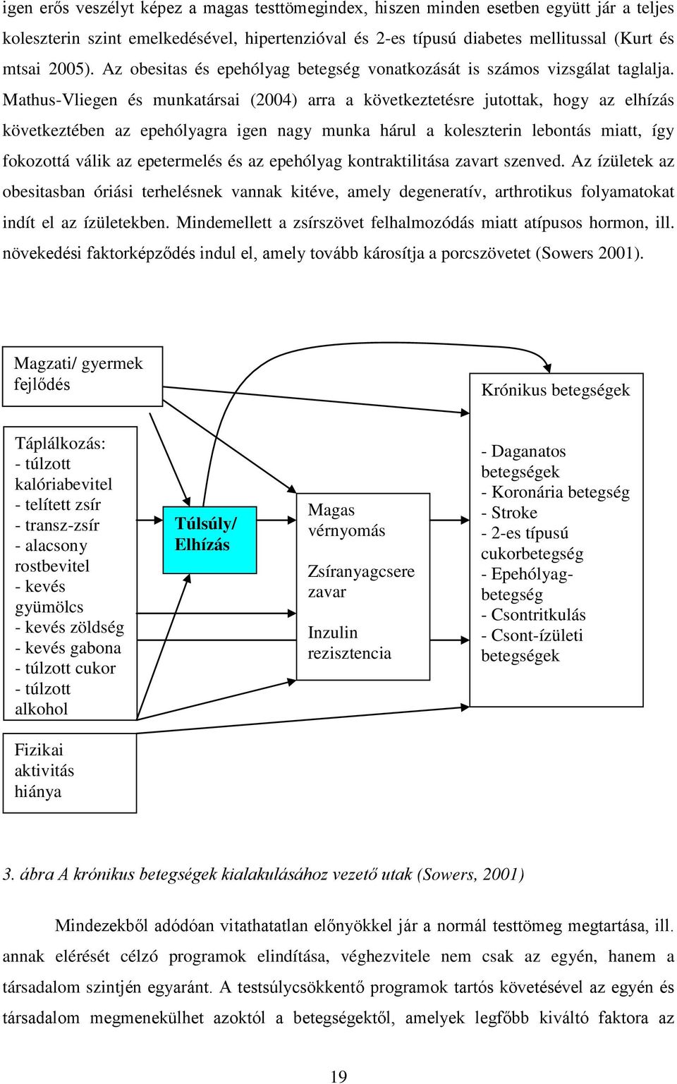 Mathus-Vliegen és munkatársai (2004) arra a következtetésre jutottak, hogy az elhízás következtében az epehólyagra igen nagy munka hárul a koleszterin lebontás miatt, így fokozottá válik az