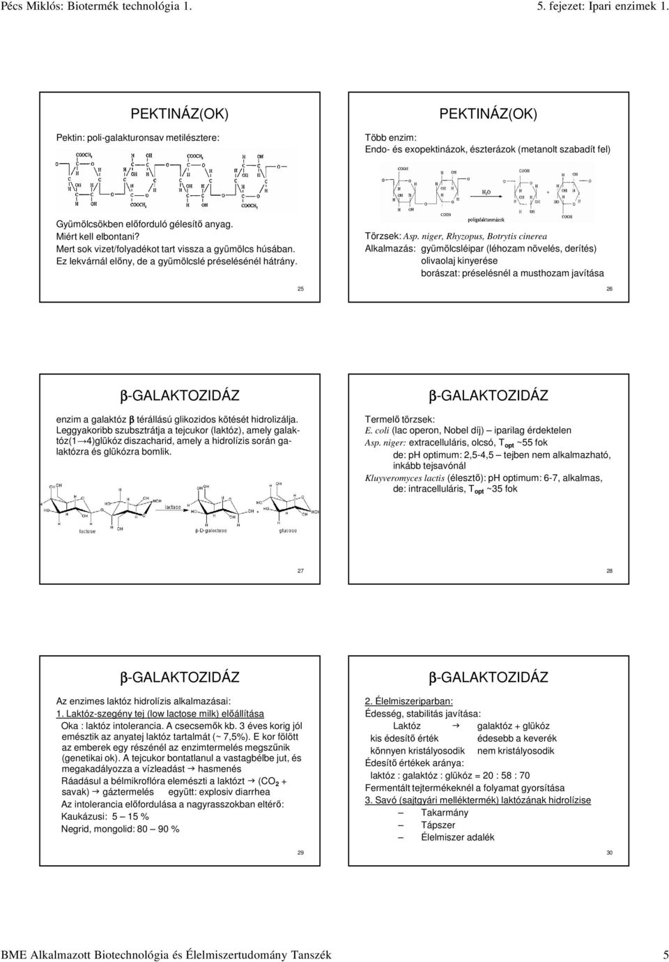 niger, Rhyzopus, Botrytis cinerea Alkalmazás: gyümölcsléipar (léhozam növelés, derítés) olivaolaj kinyerése borászat: préselésnél a musthozam javítása 26 enzim a galaktóz β térállású glikozidos