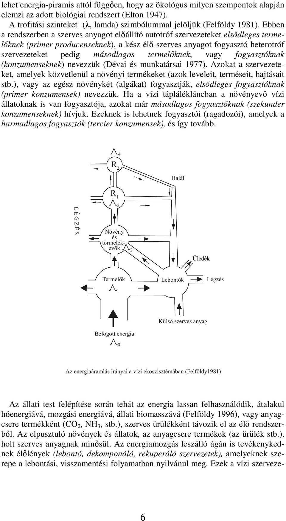 Ebben a rendszerben a szerves anyagot előállító autotróf szervezeteket elsődleges termelőknek (primer producenseknek), a kész élő szerves anyagot fogyasztó heterotróf szervezeteket pedig másodlagos