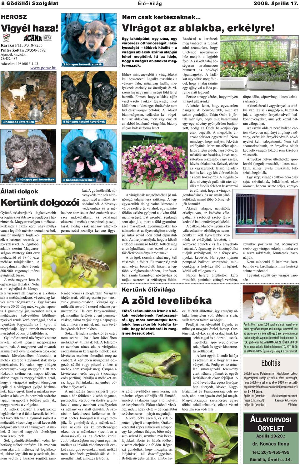 Társkereső ötletek jakartában
