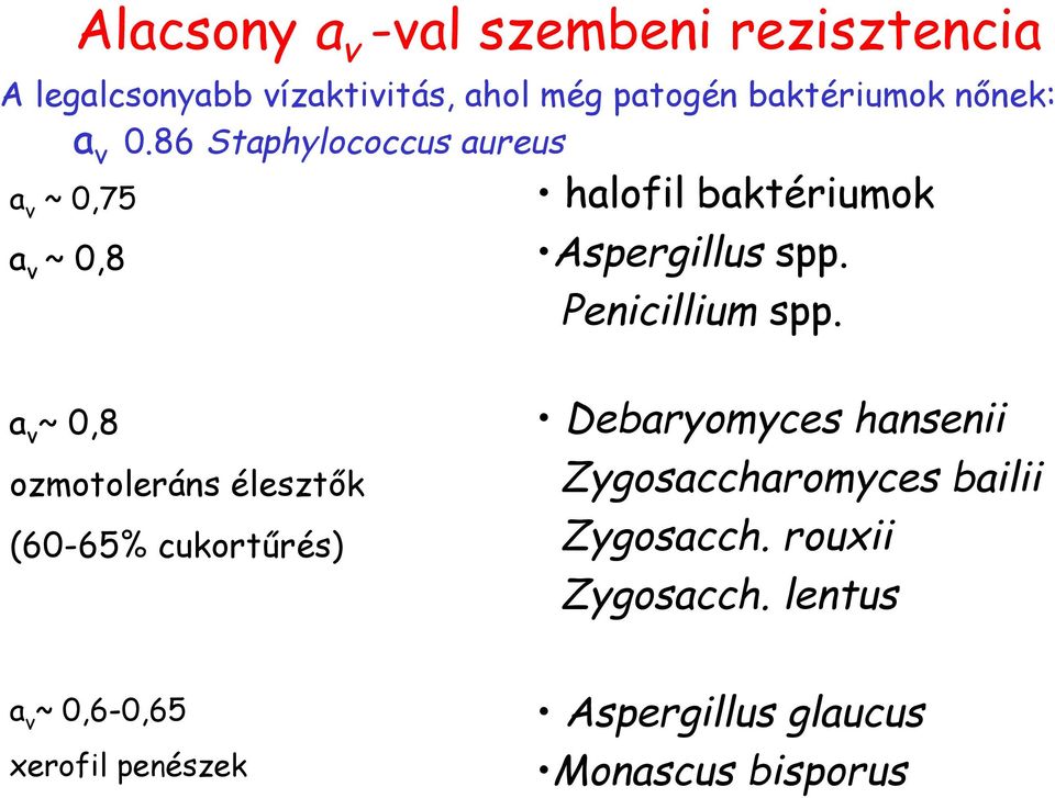 Penicillium spp.