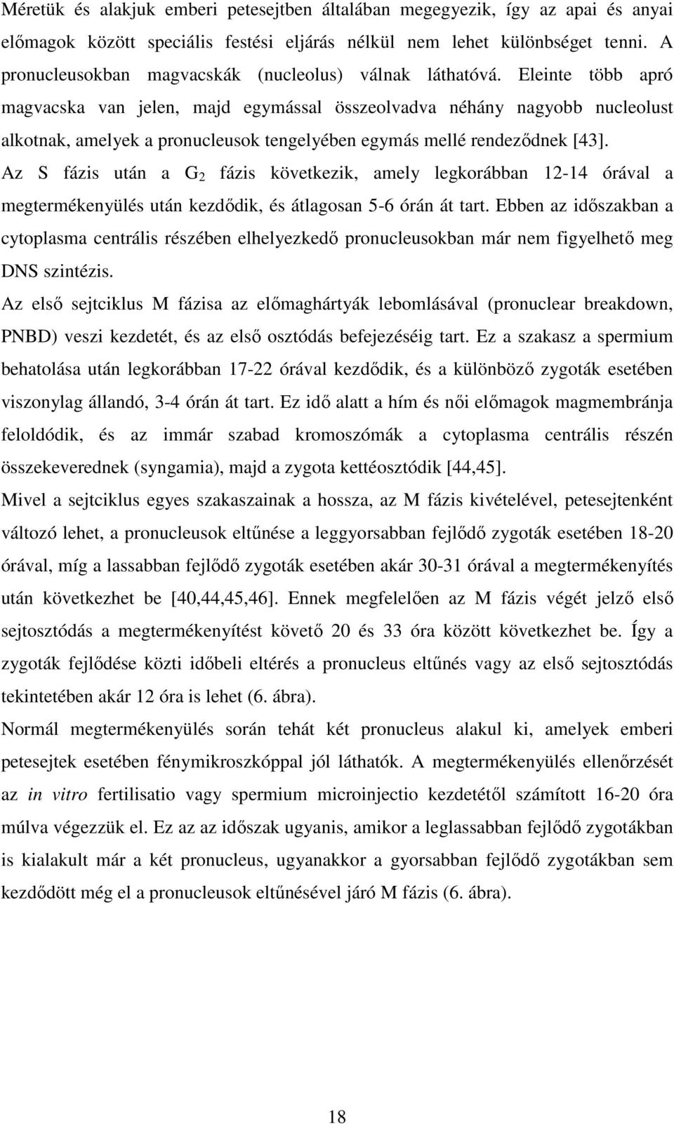 Eleinte több apró magvacska van jelen, majd egymással összeolvadva néhány nagyobb nucleolust alkotnak, amelyek a pronucleusok tengelyében egymás mellé rendeződnek [43].