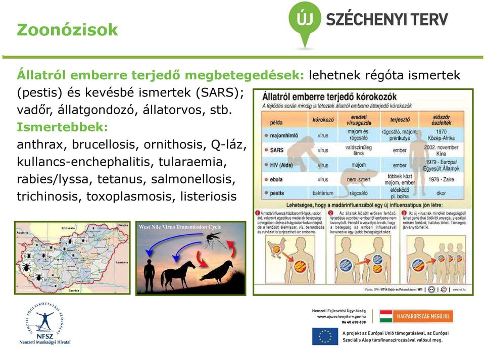 Ismertebbek: anthrax, brucellosis, ornithosis, Q-láz, kullancs-enchephalitis,