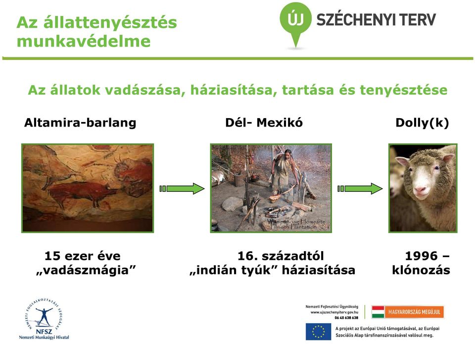 Altamira-barlang Dél- Mexikó Dolly(k) 15 ezer éve