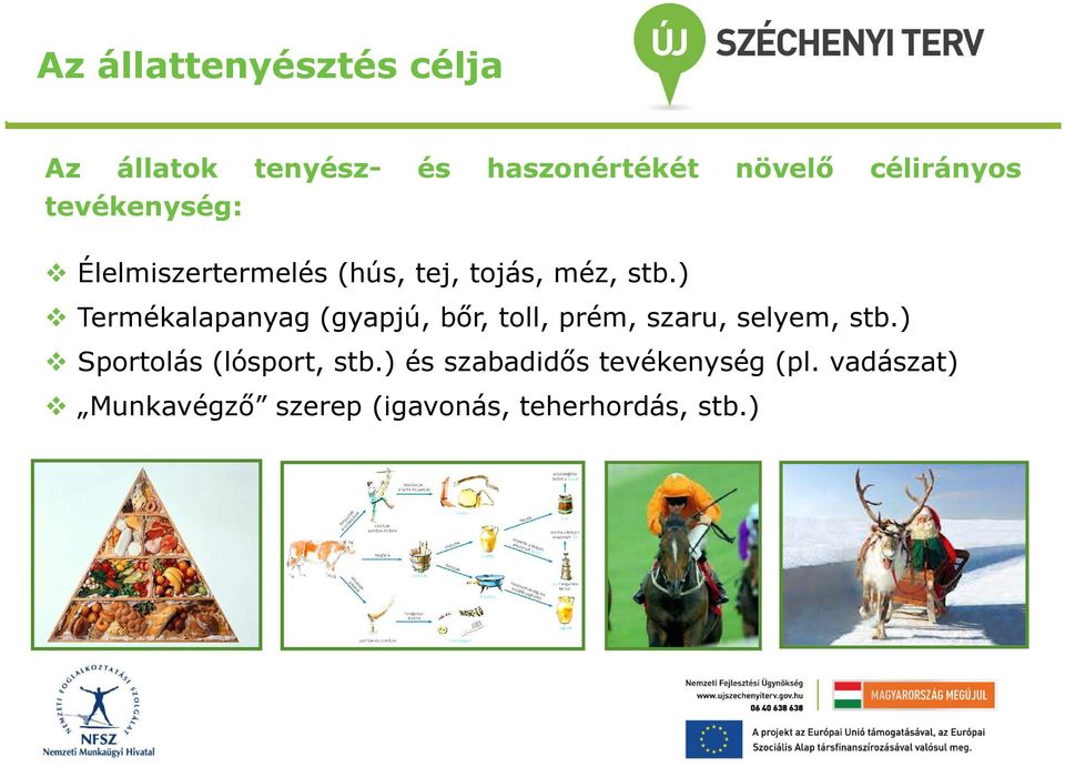 ) Termékalapanyag (gyapjú, bőr, toll, prém, szaru, selyem, stb.
