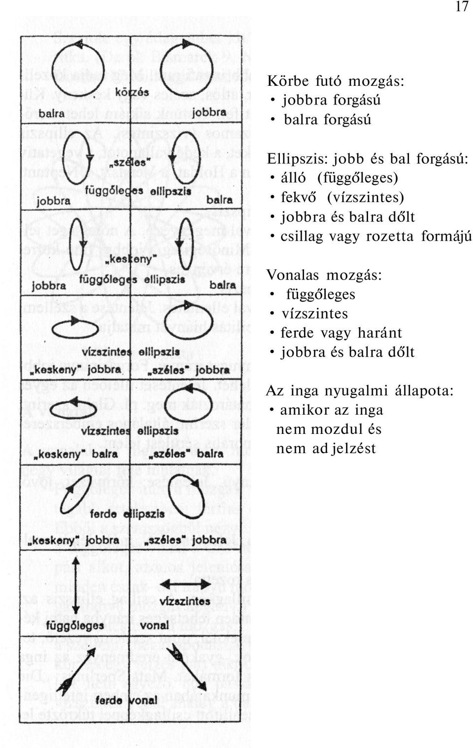 Aranyi Lászlóné AZ INGA ELMÉLETE ÉS GYAKORLATA - PDF Free Download