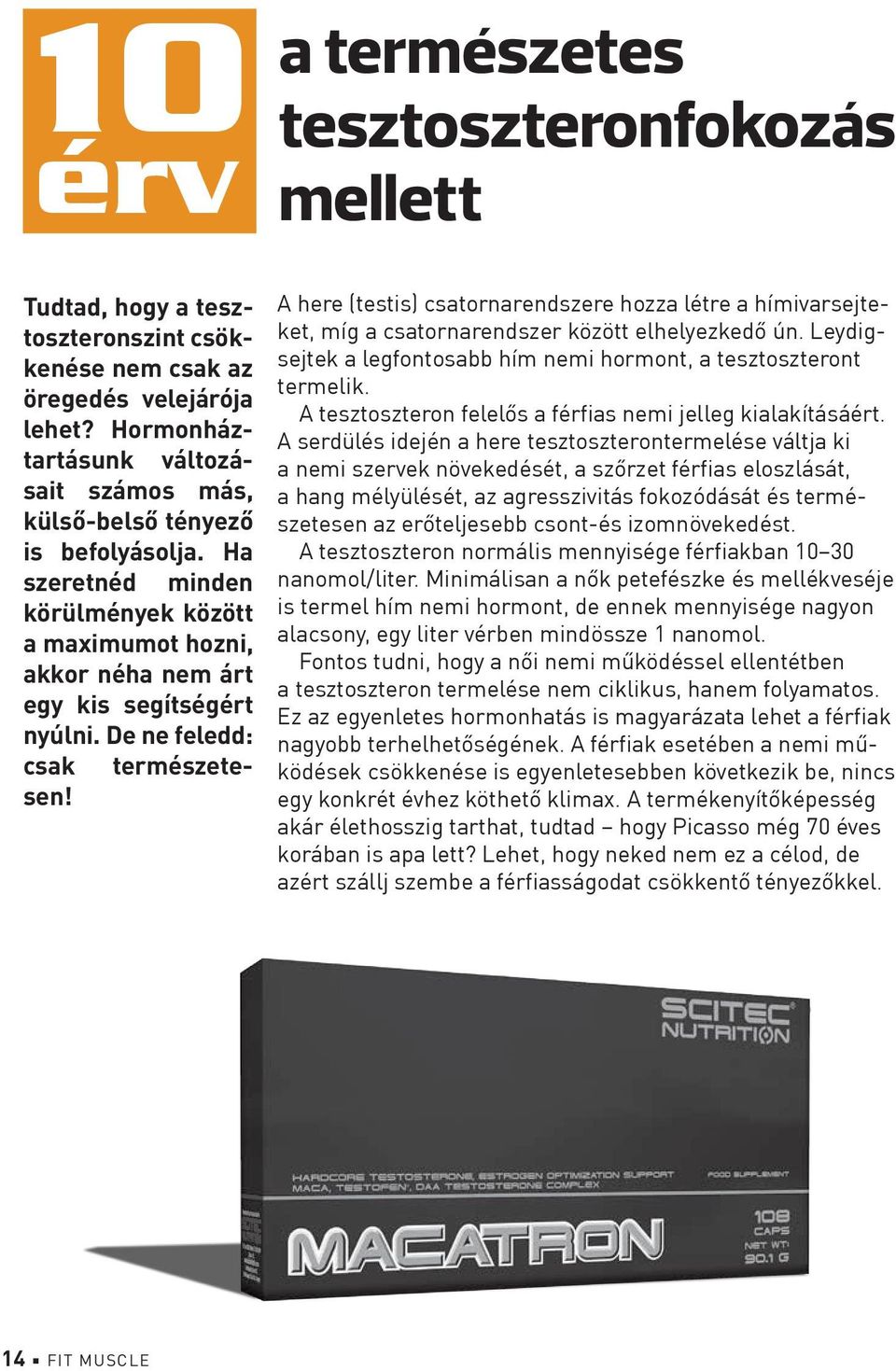De ne feledd: természete- csak sen! A here (testis) csatornarendszere hozza létre a hímivarsejteket, míg a csatornarendszer között elhelyezkedő ún.