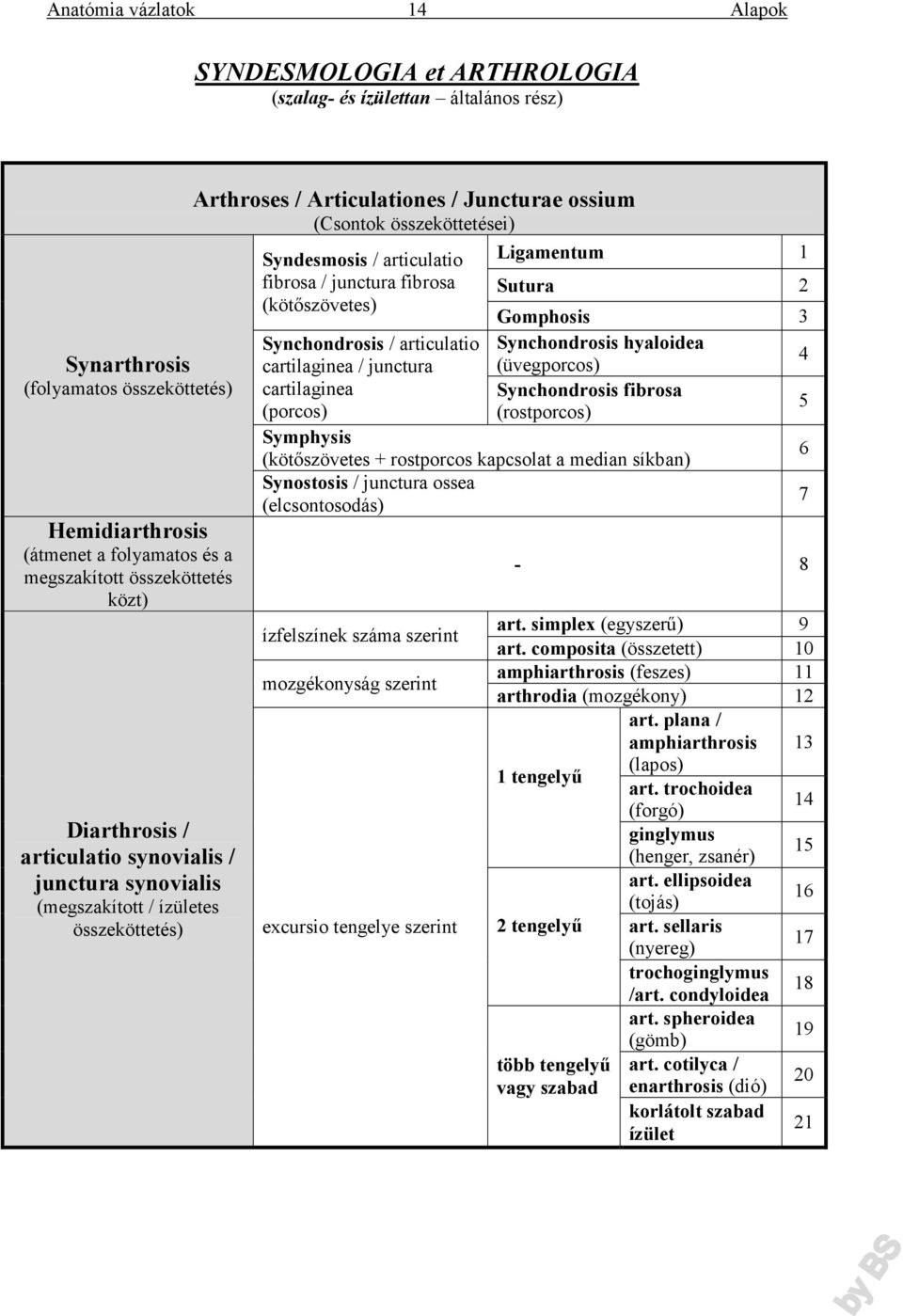 junctura fibrosa (kötőszövetes) Synchondrosis / articulatio cartilaginea / junctura cartilaginea (porcos) Symphysis Ligamentum 1 Sutura 2 Gomphosis 3 Synchondrosis hyaloidea (üvegporcos) 4