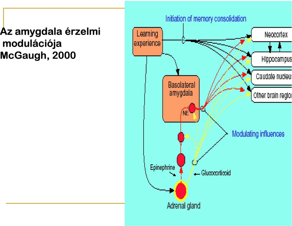 moduláci