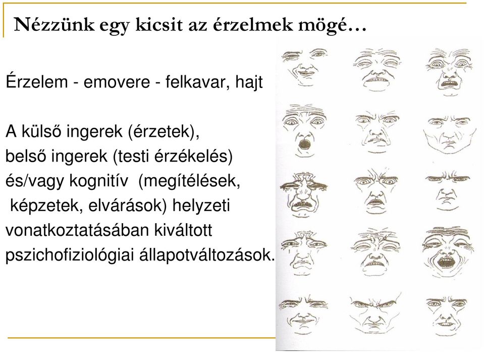 érzékelés) és/vagy kognitív (megítélések, képzetek, elvárások)