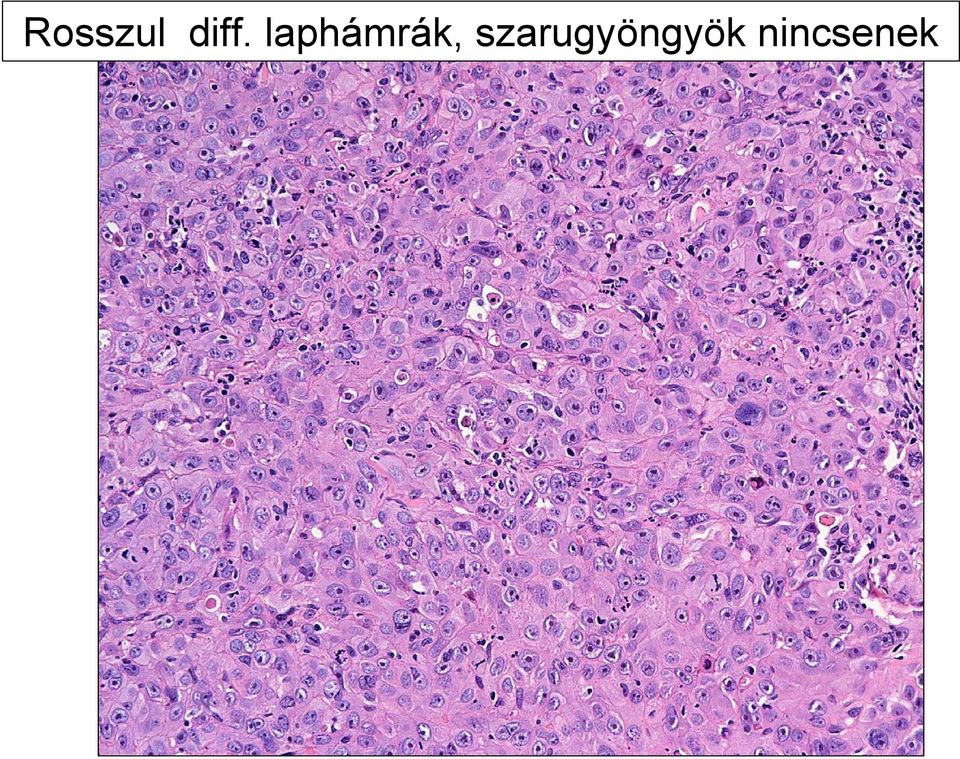 laphámrák,