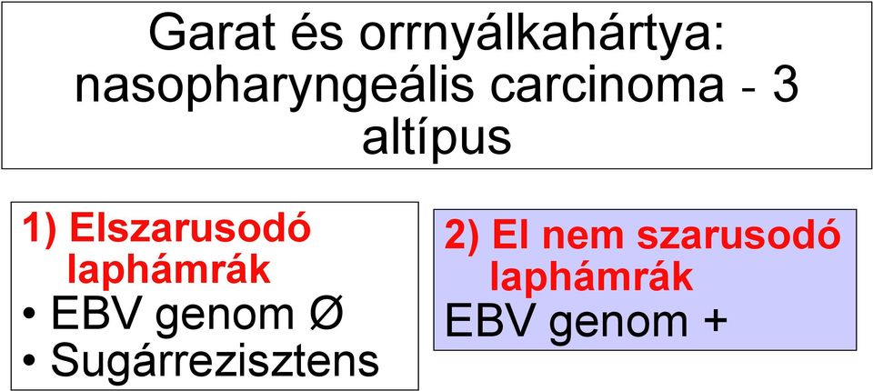 1) Elszarusodó laphámrák EBV genom Ø
