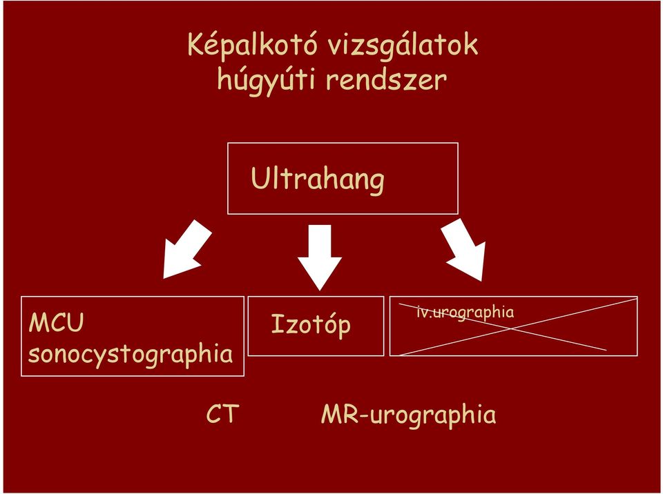 MCU sonocystographia