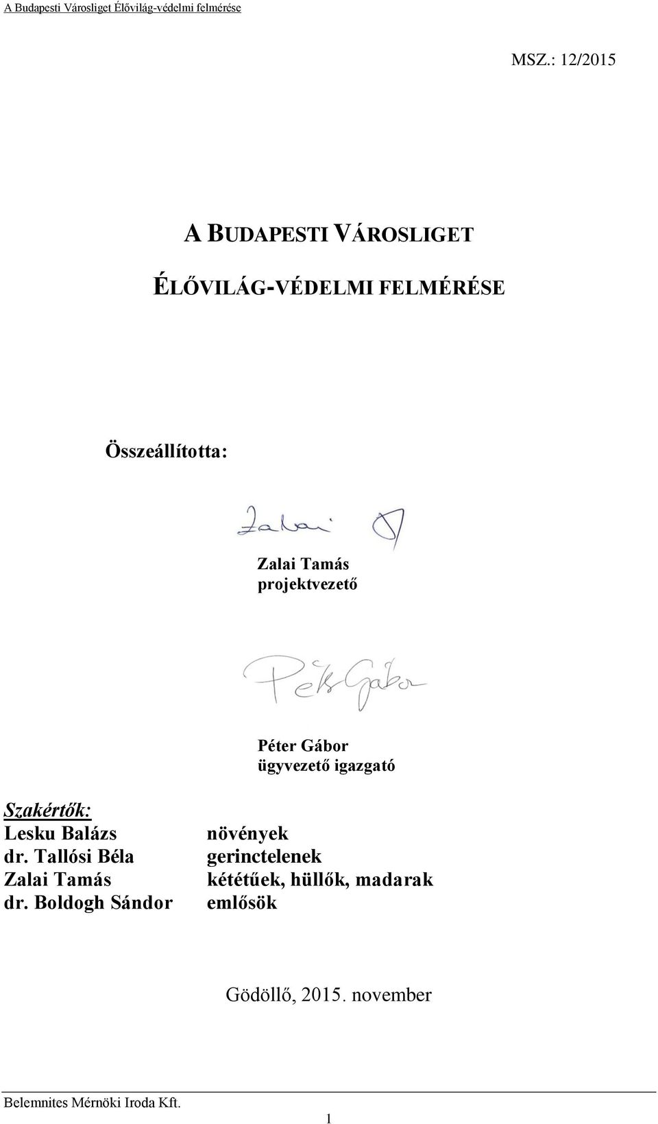 Szakértők: Lesku Balázs dr. Tallósi Béla Zalai Tamás dr.