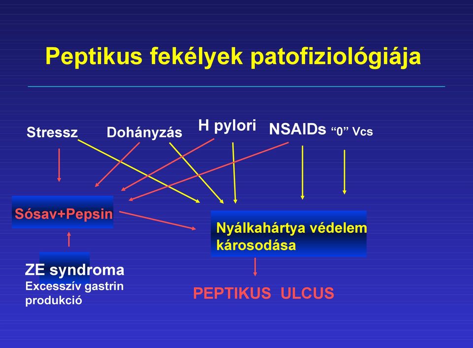 Vcs Nyálkahártya védelem károsodása ZE