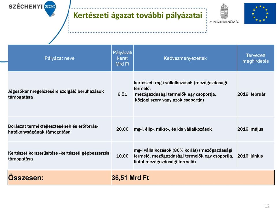 február Borászat termékfejlesztésének és erőforráshatékonyságának támogatása 20,00 mg-i, élip-, mikro-, és kis vállalkozások 2016.