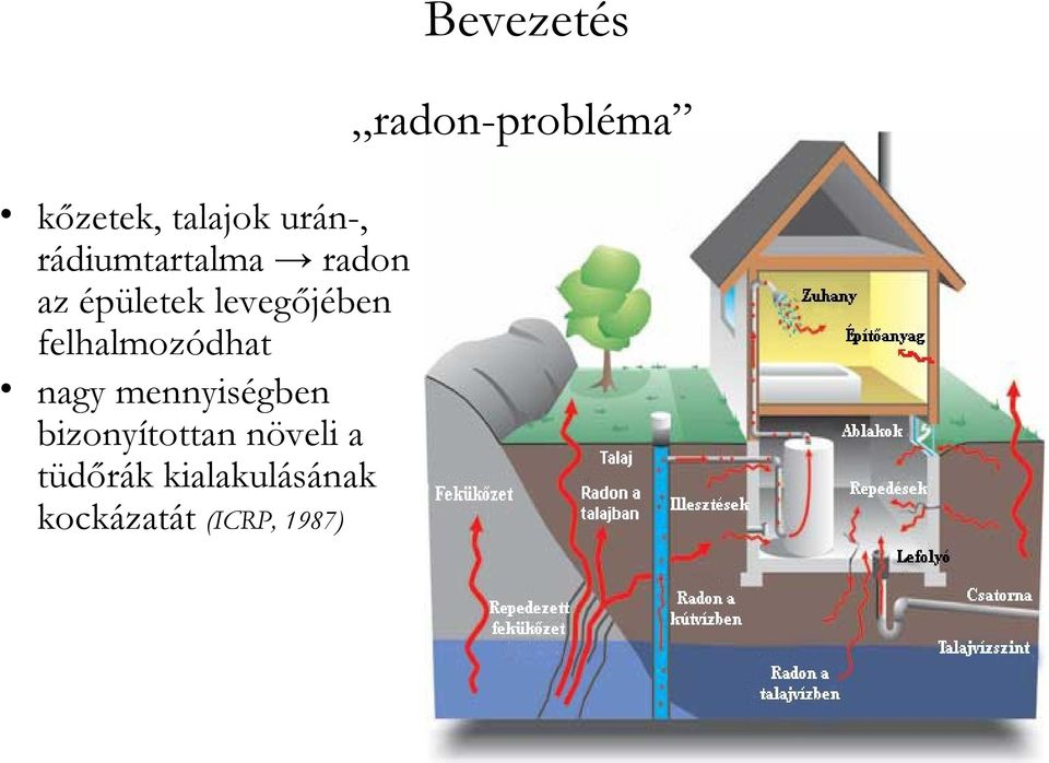 felhalmozódhat nagy mennyiségben bizonyítottan