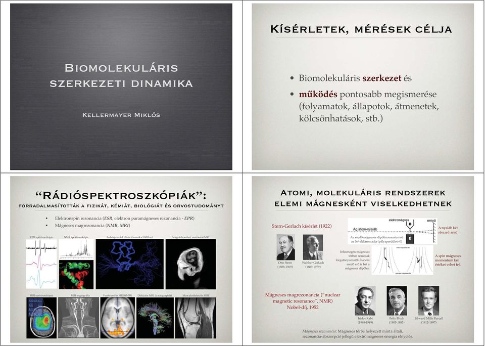 paramágneses rezonancia - EPR) Mágneses magrezonancia (NMR, MRI) EPR spektroszkópia NMR spektroszkópia Ferhérje molekuláris dinamika NMR-rel Nagyfelbontású, anatómiai MRI Stern-Gerlach kísérlet