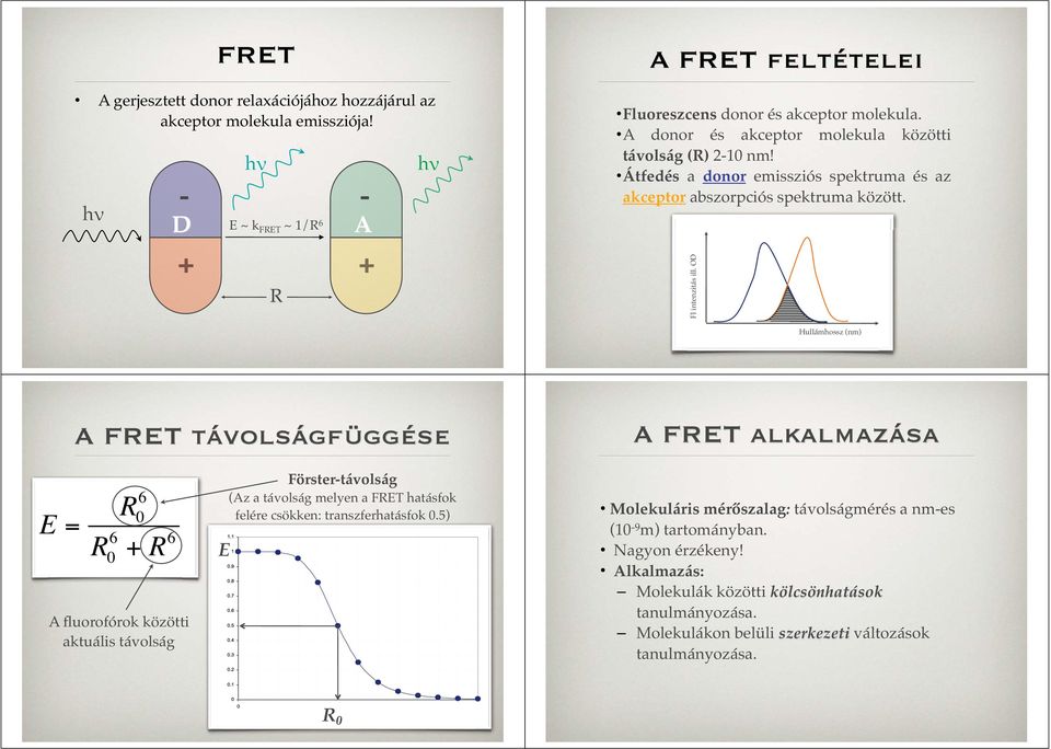 OD Hullámhossz (nm) A FRET távolságfüggése A FRET alkalmazása E = R 0 6 R 0 6 + R 6 A fluorofórok közötti aktuális távolság E Förster-távolság (Az a távolság melyen a FRET hatásfok felére