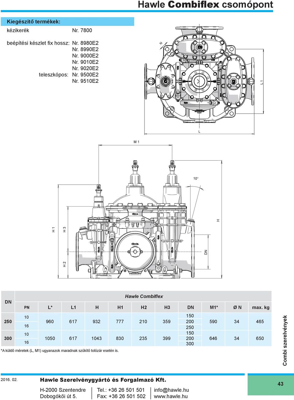 9510E2 L M1 H2 H3 H1 H 10 250 300 Hawle Combiflex PN 10 16 10 16 L* L1 H H1 H2 H3 960 617 932 777 210 359 1050 617 1043 830 235 399 150 200 250 150