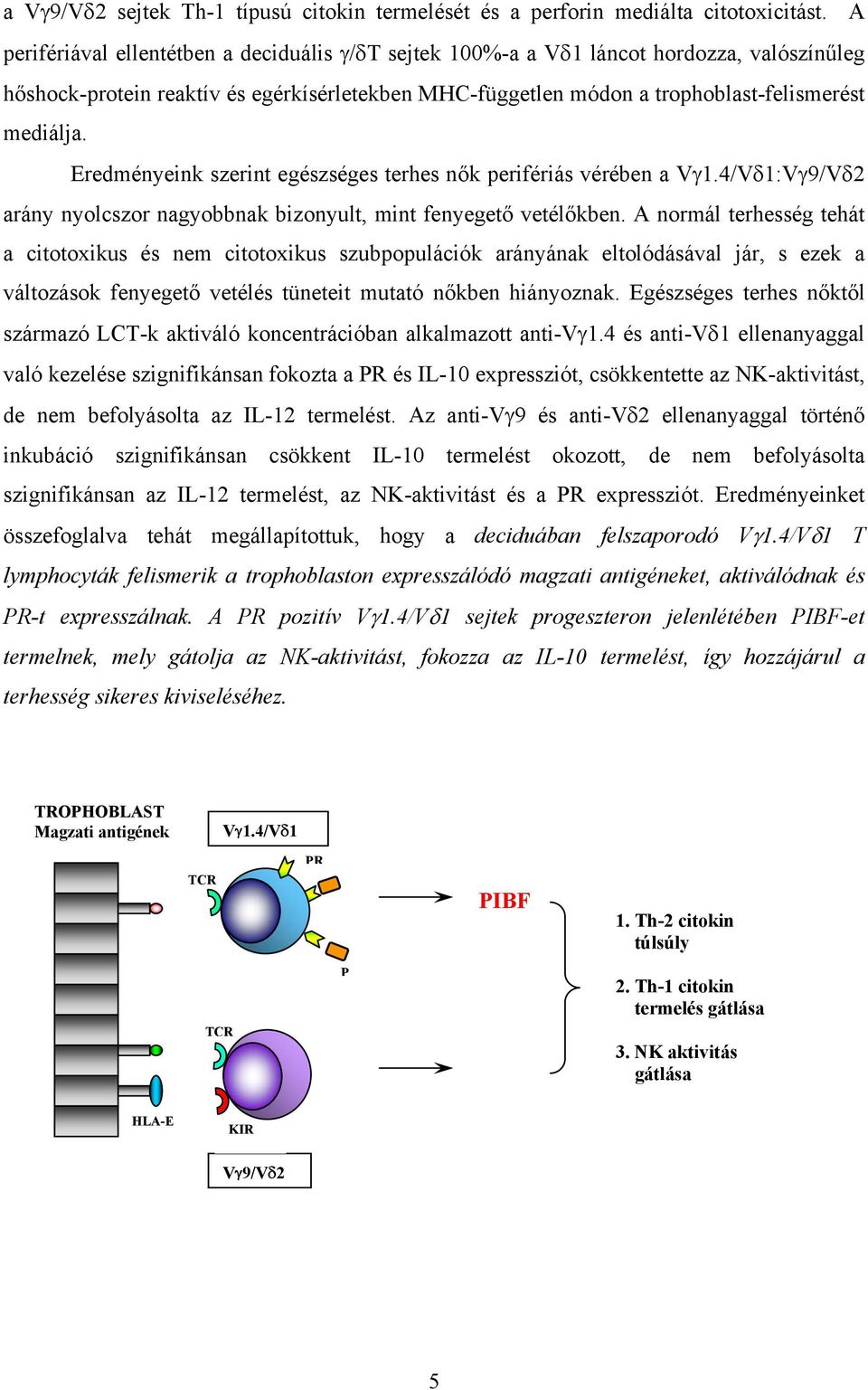 Eredményeink szerint egészséges terhes nők perifériás vérében a Vγ1.4/Vδ1:Vγ9/Vδ2 arány nyolcszor nagyobbnak bizonyult, mint fenyegető vetélőkben.