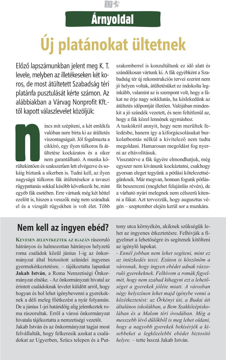 Jól fogalmazta a cikkíró, egy ilyen túlkoros fa átültetése kockázatos és a siker nem garantálható. A munka körültekintően és szakszerűen lett elvégezve és sokáig bíztunk a sikerben is.