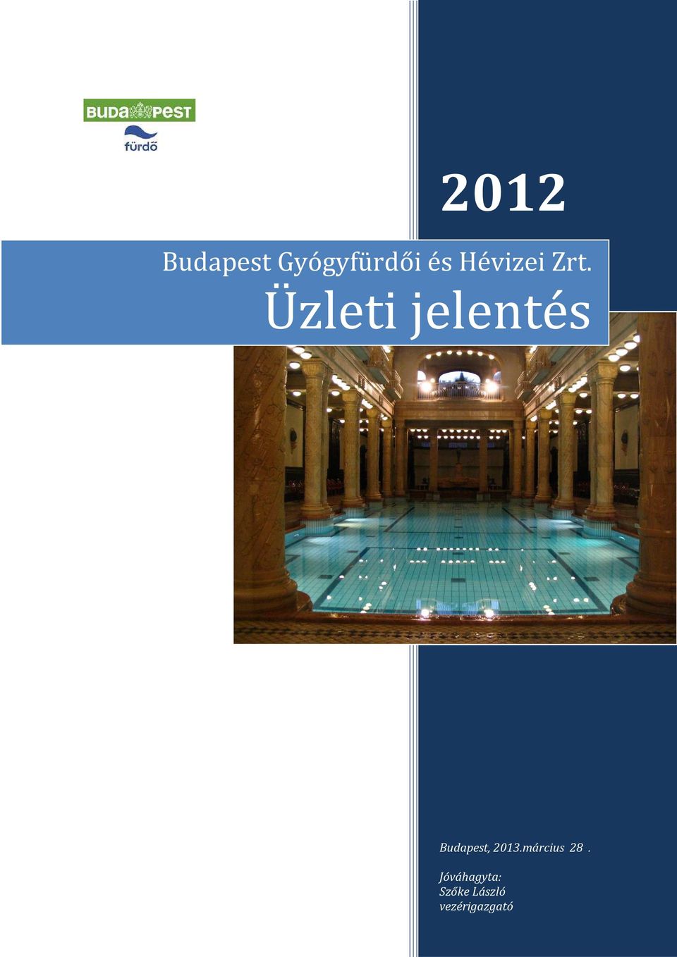 Üzleti jelentés Budapest, 2013.