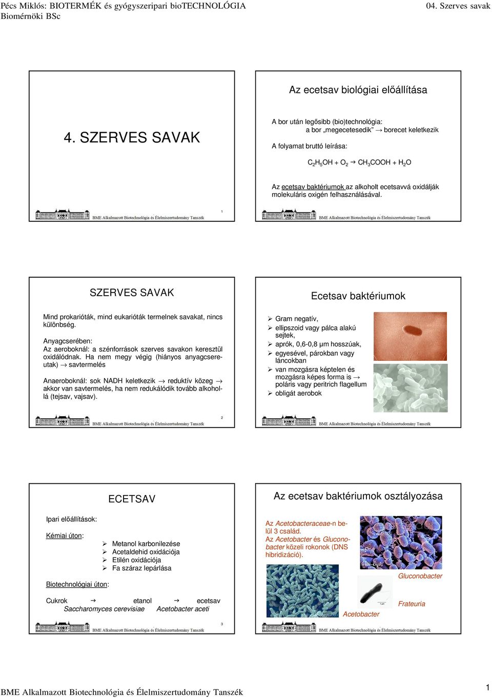 oxidálják molekuláris oxigén felhasználásával. 1 SZERVES SAVAK Mind prokarióták, mind eukarióták termelnek savakat, nincs különbség.