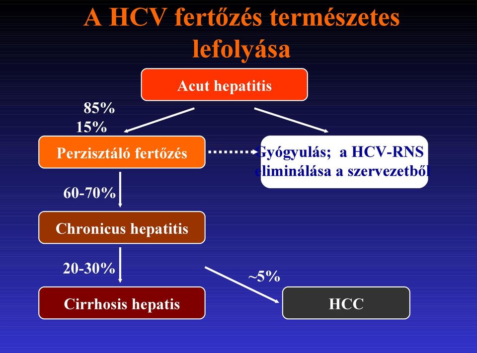 Acut hepatitis Gyógyulás; a HCV-RNS