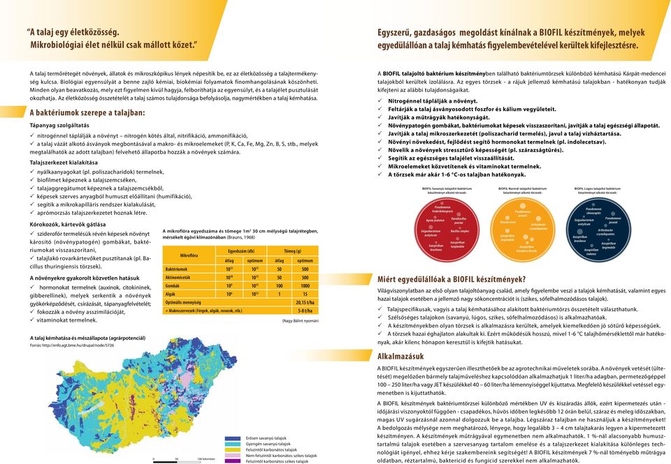 A talaj termőrétegét növények, állatok és mikroszkópikus lények népesítik be, ez az életközösség a talajtermékenység kulcsa.