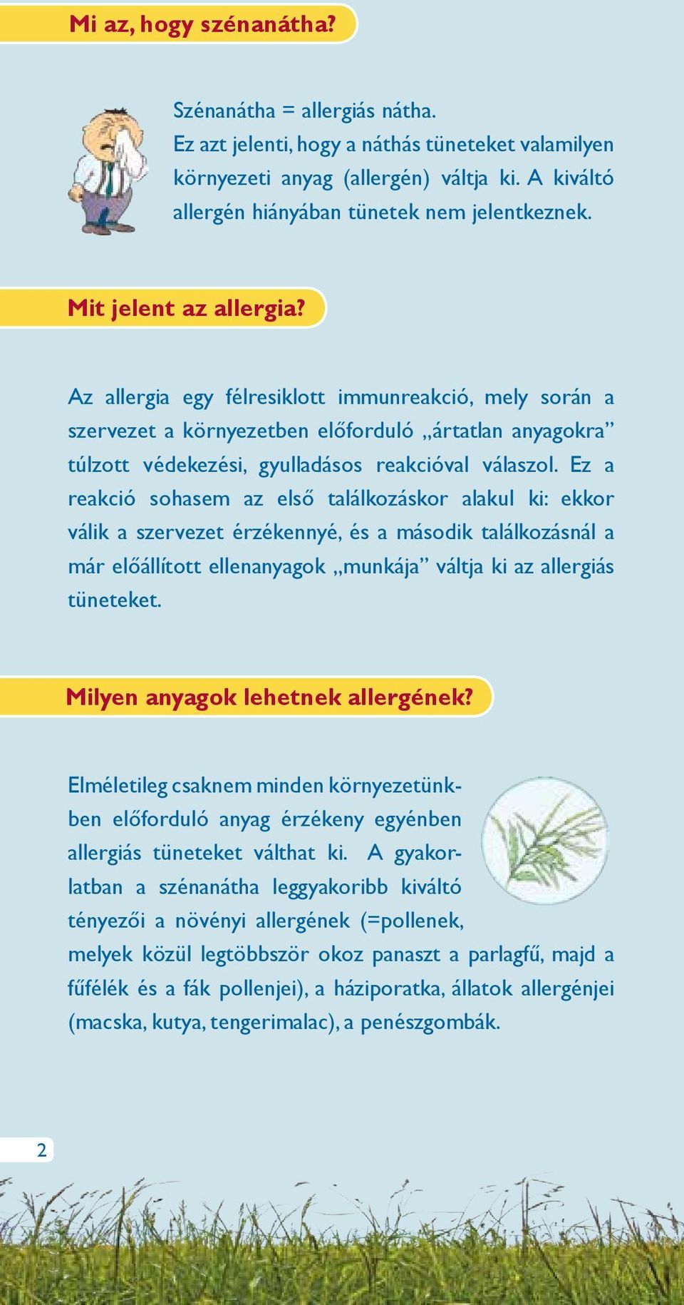 Ez a reakció sohasem az első találkozáskor alakul ki: ekkor válik a szervezet érzékennyé, és a második találkozásnál a már előállított ellenanyagok munkája váltja ki az allergiás tüneteket.