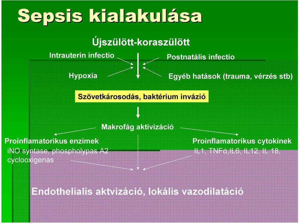 aktivizáció Proinflamatorikus enzimek ino syntase, phospholypas A2 cyclooxigenas