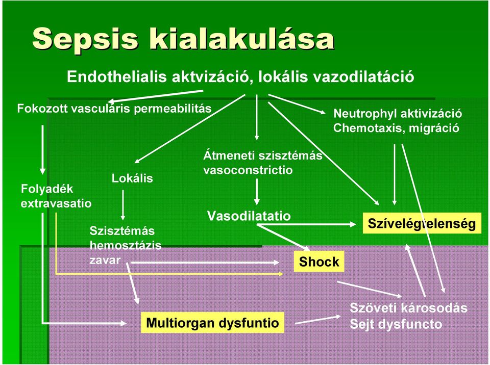 extravasatio Lokális Szisztémás hemosztázis zavar Átmeneti szisztémás