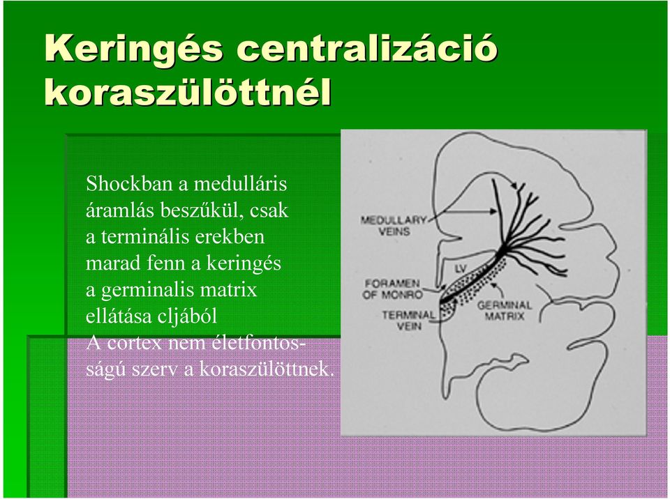 erekben marad fenn a keringés a germinalis matrix